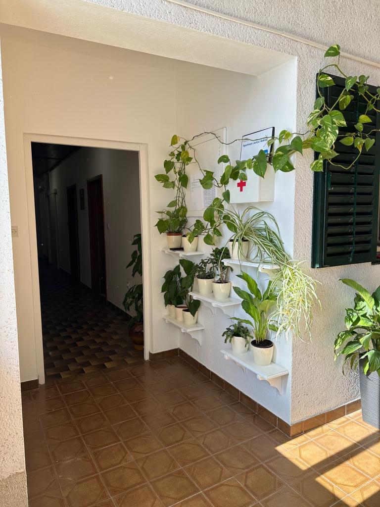 Apartmani Jurica i Ankica – fotografija 4