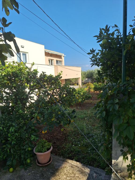 Apartmani Villa Josip – fotografija 5