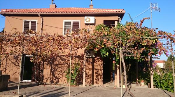 Apartman Tea – fotografija 3