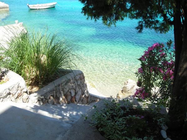 Apartmani Orhidea – fotografija 4