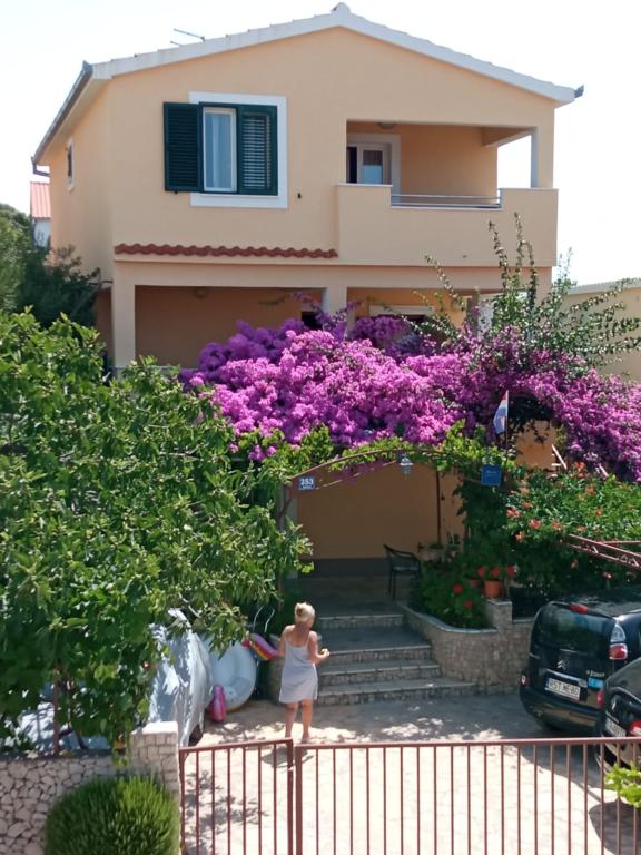 Apartmani Kušćević – fotografija 3
