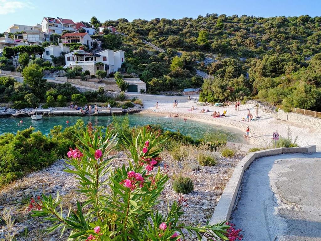 Apartmani Kušćević – fotografija 4