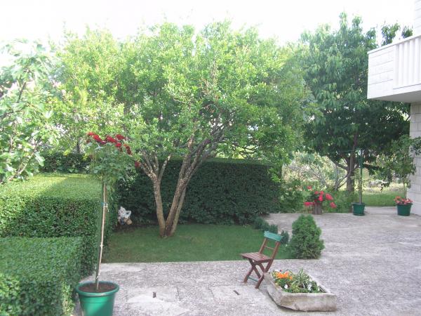 Apartmani Matić – fotografija 6