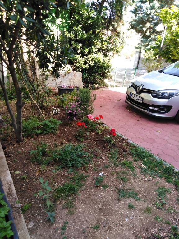 Apartmani Drago – fotografija 4