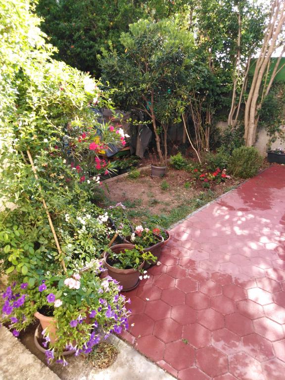 Apartmani Drago – fotografija 5