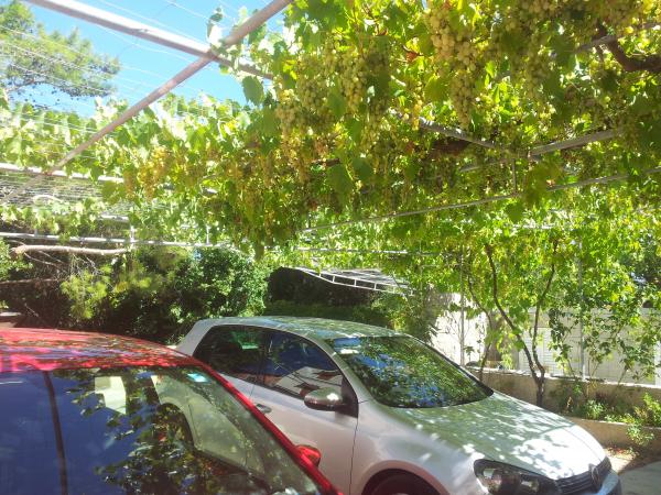 Apartmani MS – fotografija 4