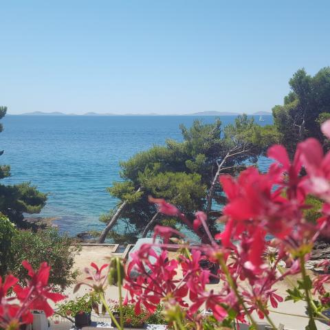 Apartmani Martinic – fotografija 5