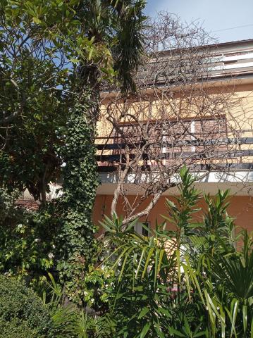 Apartmani Gordana – fotografija 4