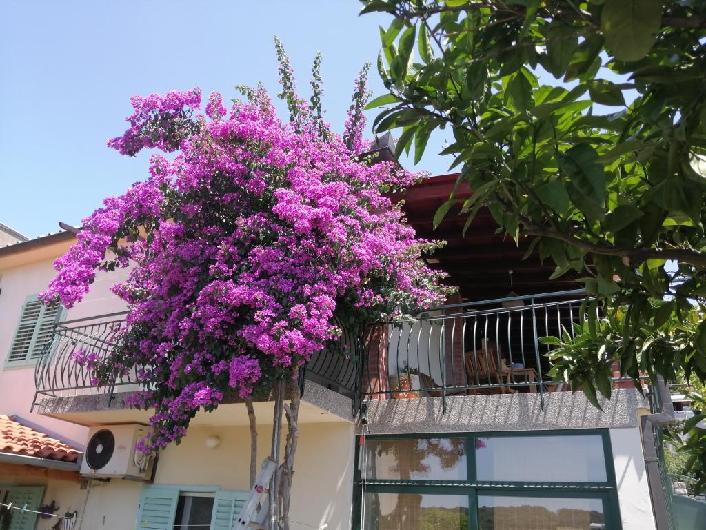 Apartman Fioretta – fotografija 4