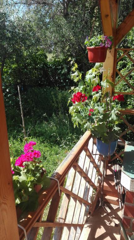 Apartman Fioretta – fotografija 6