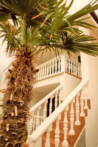 Apartman Bura – fotografija 3