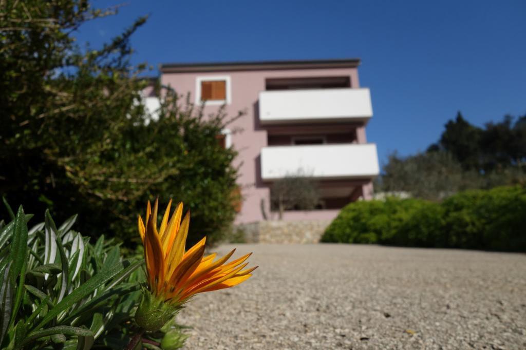 Apartmani & Sobe Amaryllis – fotografija 3