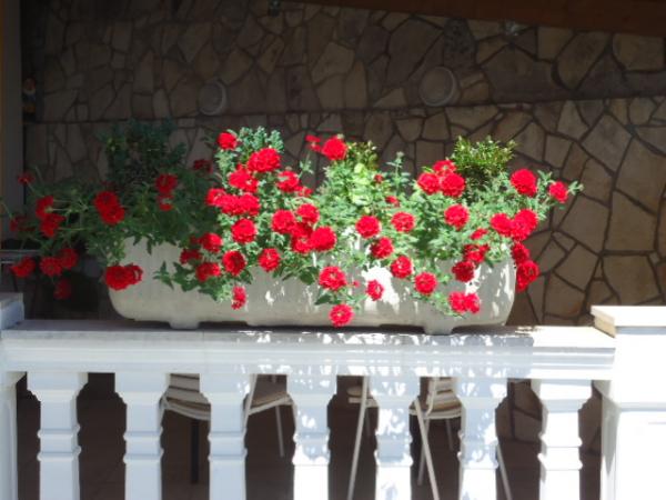 Apartmani Manja – fotografija 5