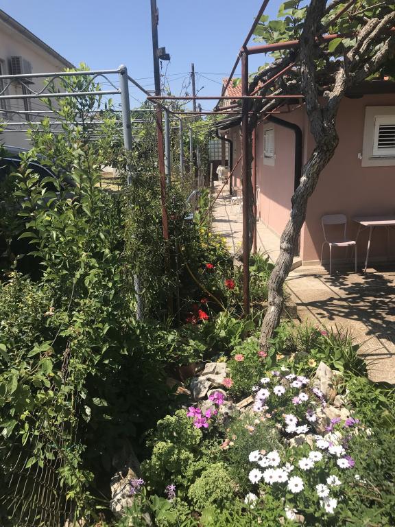 Apartmani Stefanija – fotografija 3