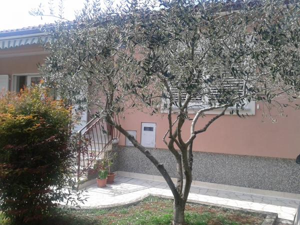 Apartmani Stefanija – fotografija 6