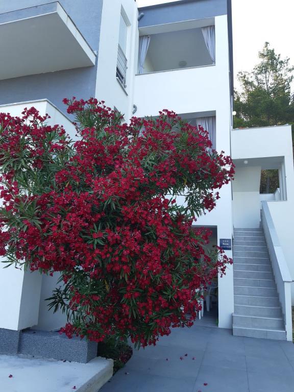 Apartmani Varaždinci – fotografija 3