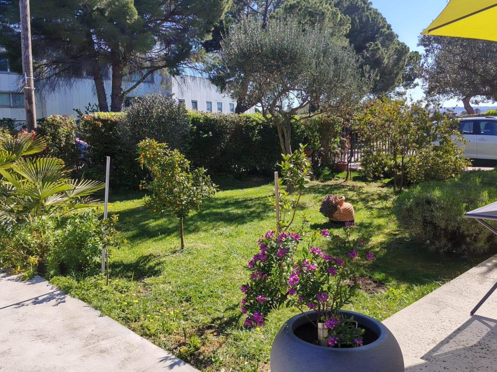 Apartmani Enio – fotografija 3