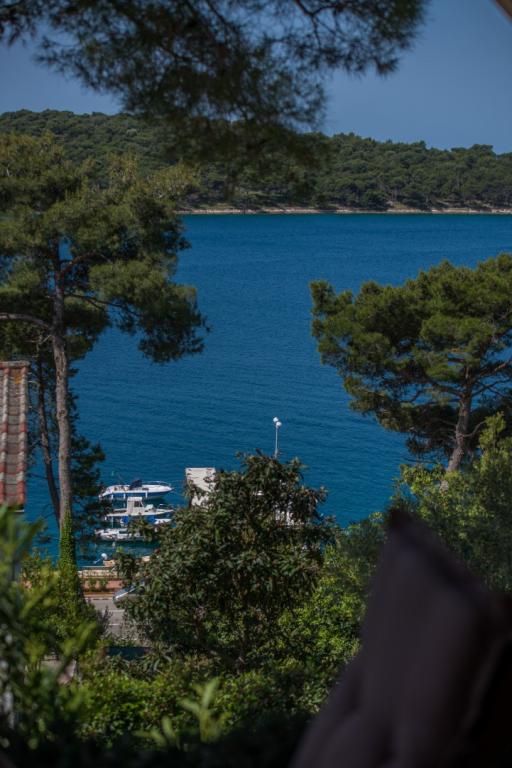 Apartman Seretin – fotografija 6