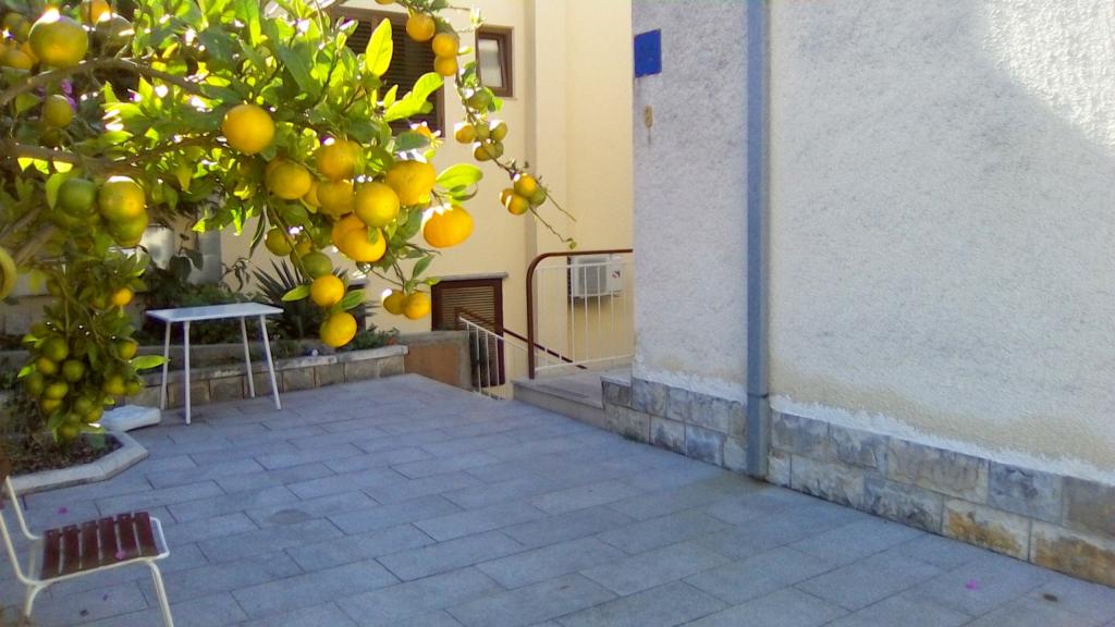 Apartmani Malina – fotografija 2