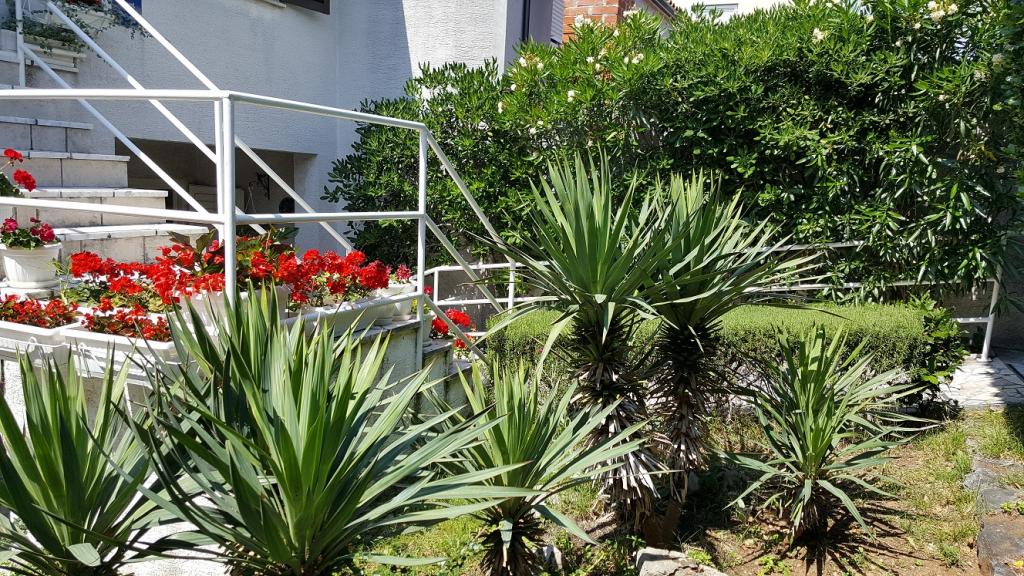 Apartmani Mirjana – fotografija 5