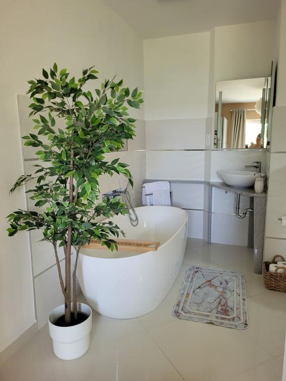 Apartmani Žuta Kuća – fotografija 5
