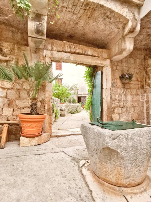 Apartmani Hadriaticum 2 – fotografija 5