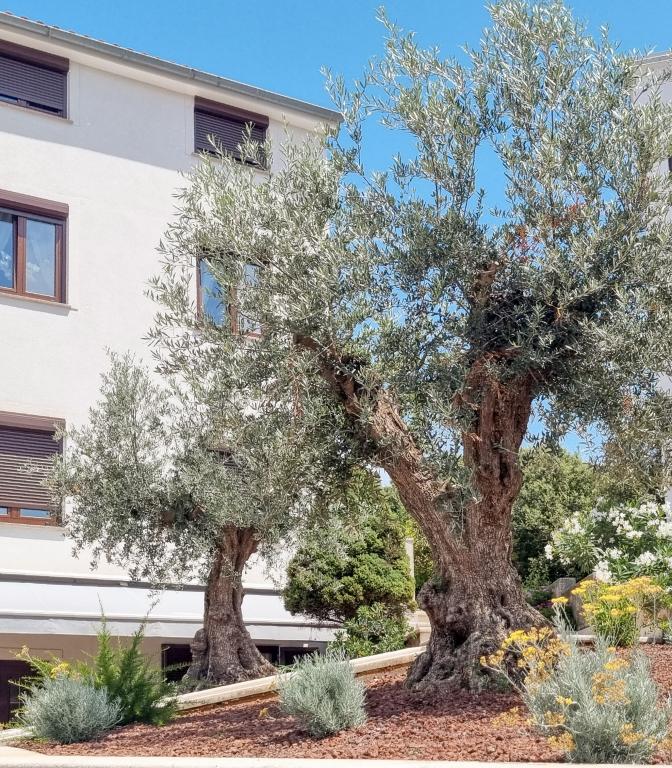 Apartmani Senka – fotografija 5