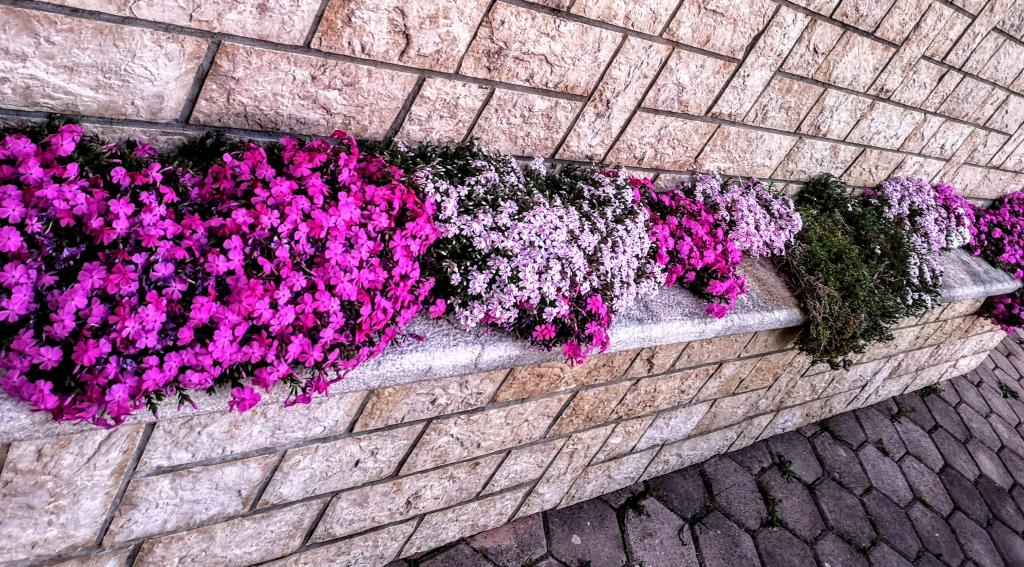 Apartmani Senka – fotografija 6