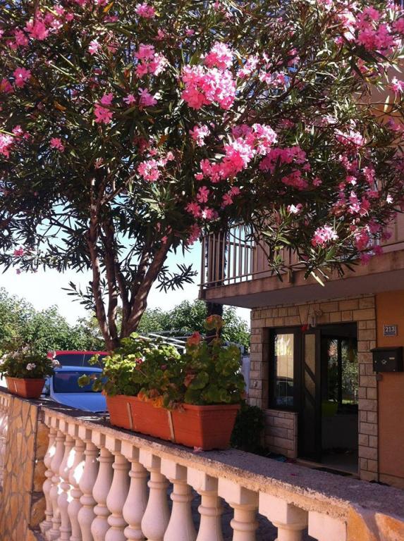 Apartman Kokić – fotografija 3
