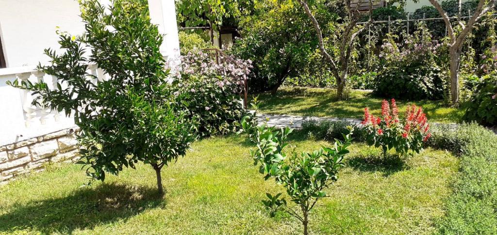 Apartmani Boško – fotografija 4