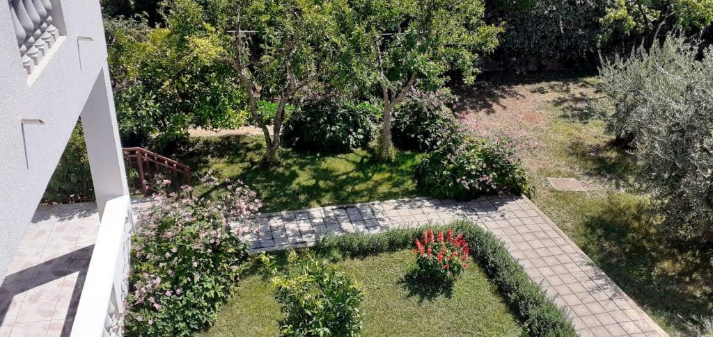 Apartmani Boško – fotografija 6