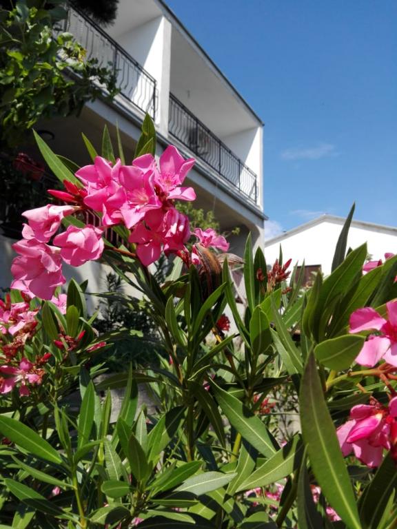 Apartmani Adria 1 – fotografija 4