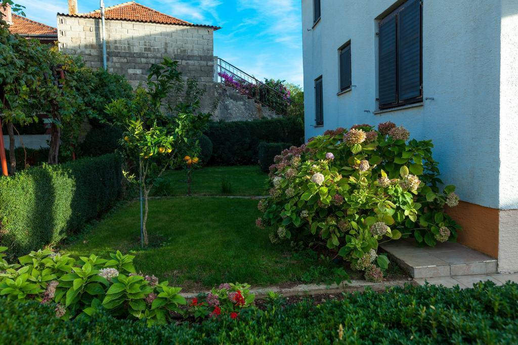 Apartmani Miro Kurtov – fotografija 3