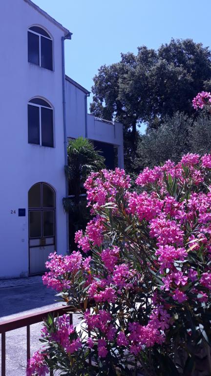 Apartmani Vila Sunce – fotografija 4