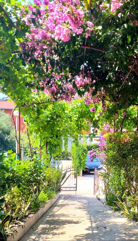 Apartmani Anka – fotografija 5