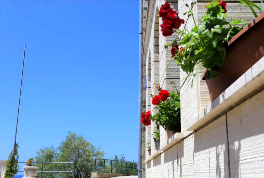 Apartmani Aurora Adriatica – fotografija 4