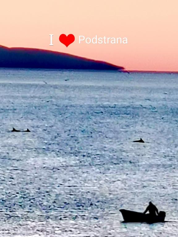 Apartmani Božiković – fotografija 5