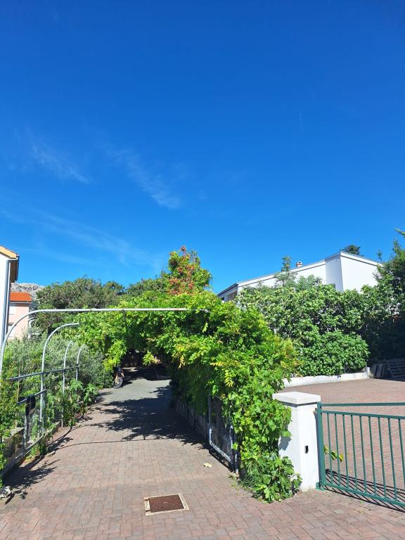 Apartmani Radović – fotografija 2