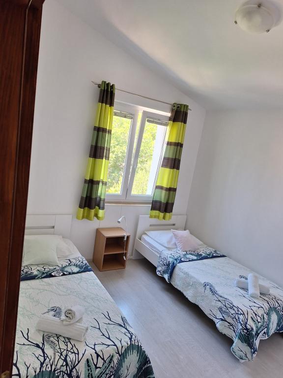 Apartmani Radović – fotografija 5