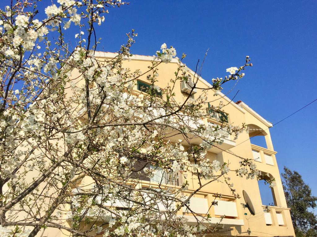 Apartmani Bosiljka – fotografija 5