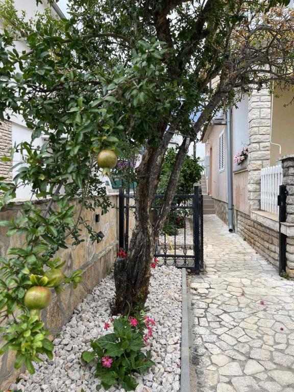 Apartmani Tiho – fotografija 3