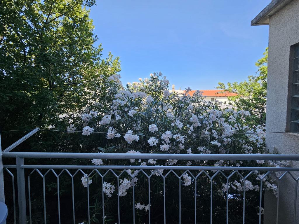 Apartmani Mladenka – fotografija 5