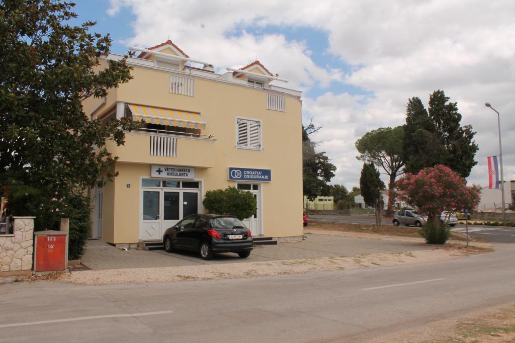 Apartmani Dalmata – fotografija 2