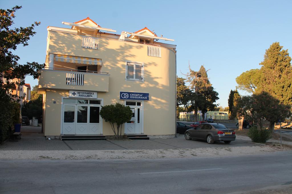 Apartmani Dalmata – fotografija 3