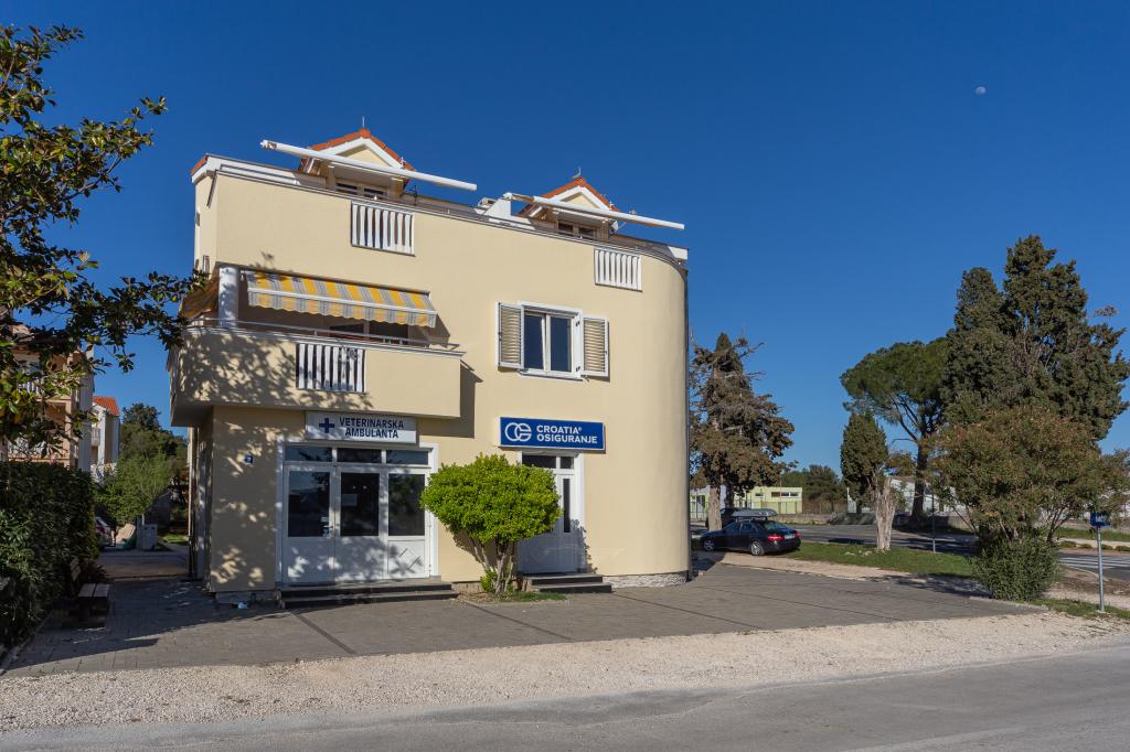 Apartmani Dalmata – fotografija 5