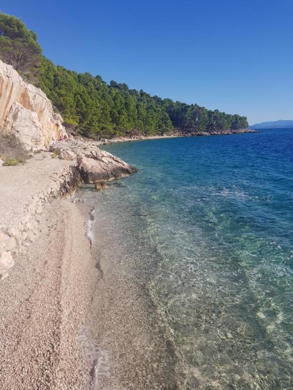 Apartmani Mika – fotografija 5