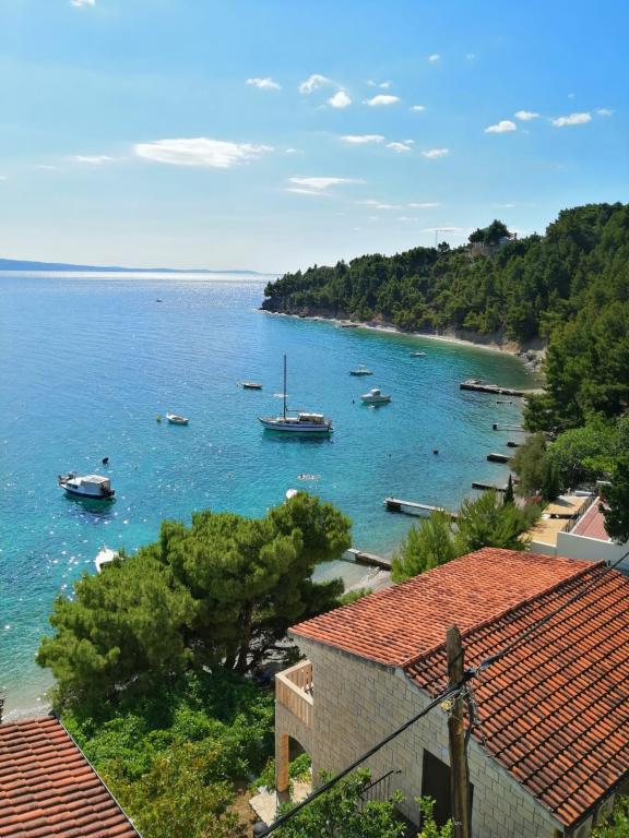 Apartmani Velika Luka – fotografija 4