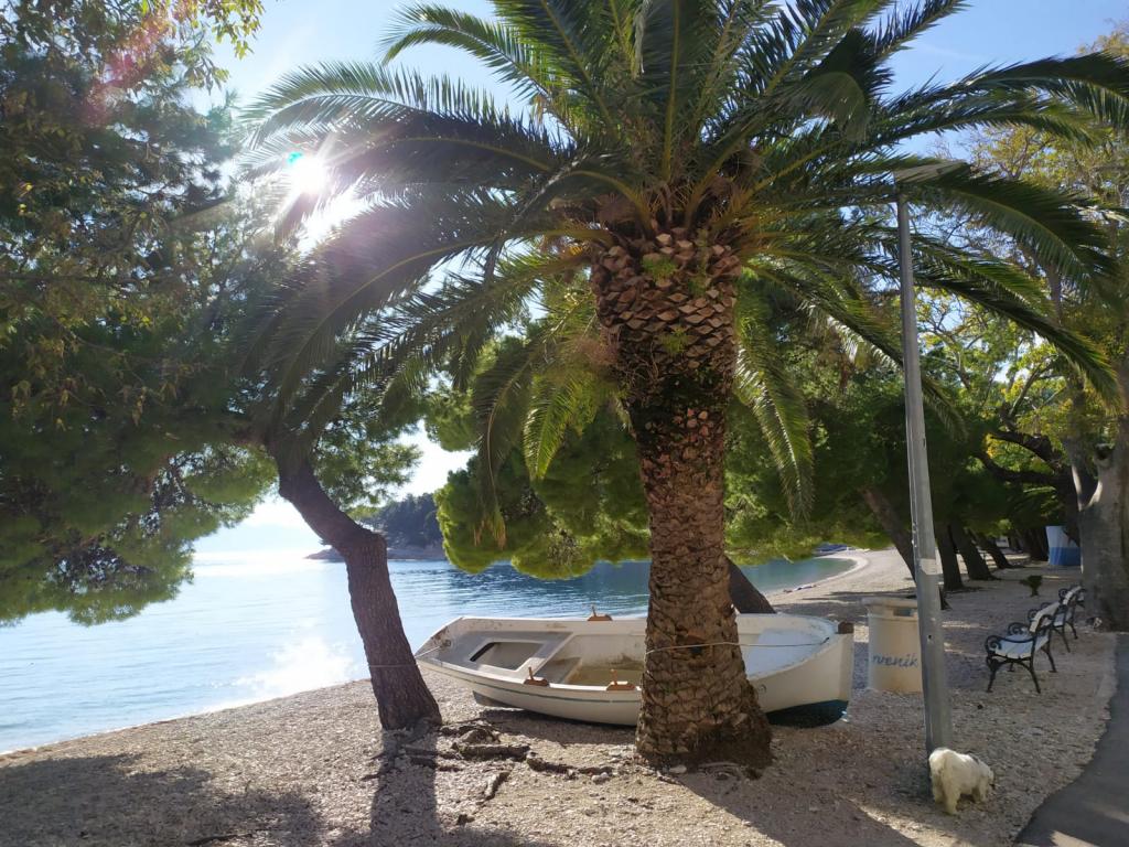 Apartmani Plavi Jadran – fotografija 6