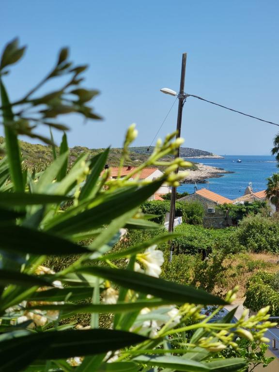 Apartmani Go2Vis – fotografija 4