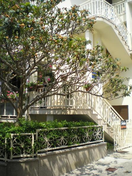 Apartmani D&G – fotografija 5